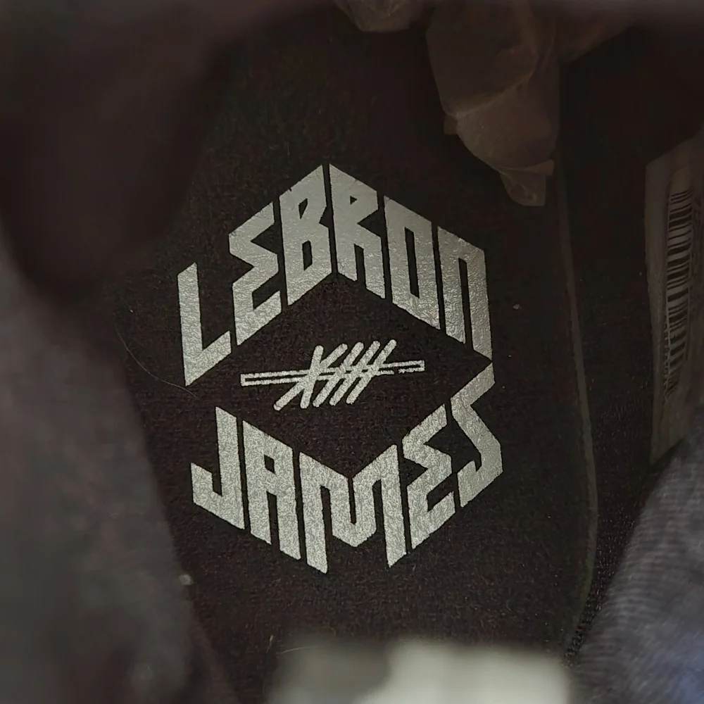 Nike LeBron 13 PS 